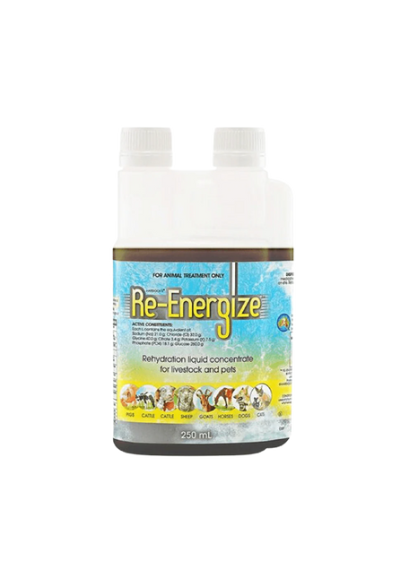 IAH RE-ENERGIZE 250ML