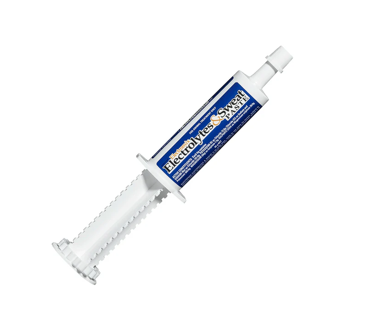 ELECTROLYTES & SWEAT PASTE