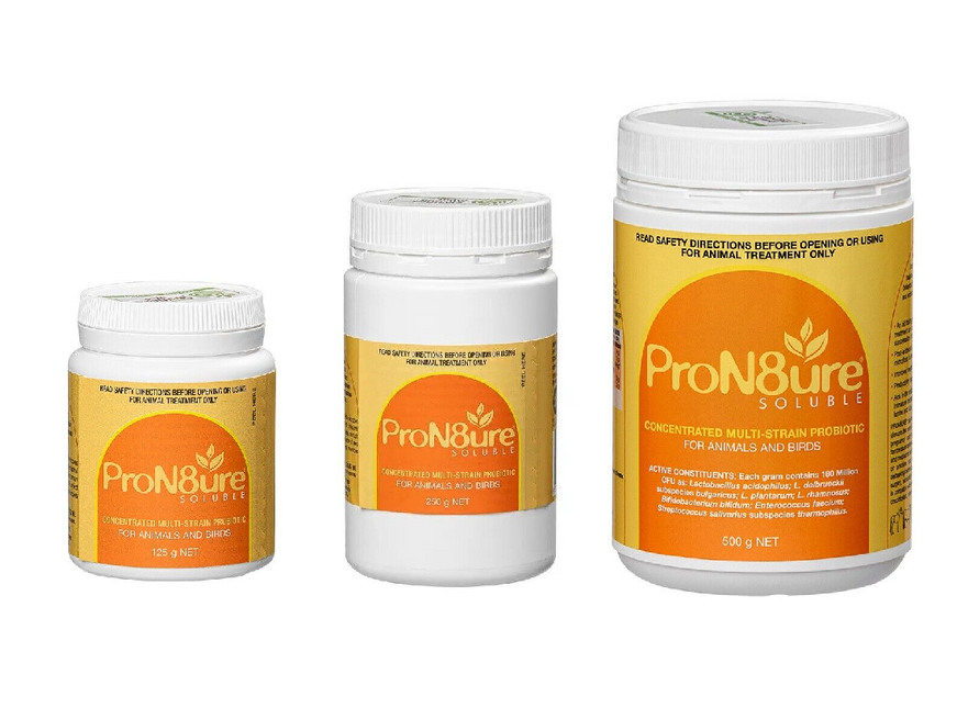 PROTEXIN POWDER SOLUBLE 250GM 
