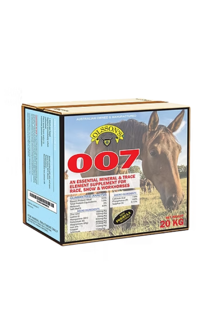OLSSON'S MINERAL BLOCK 007 20KG