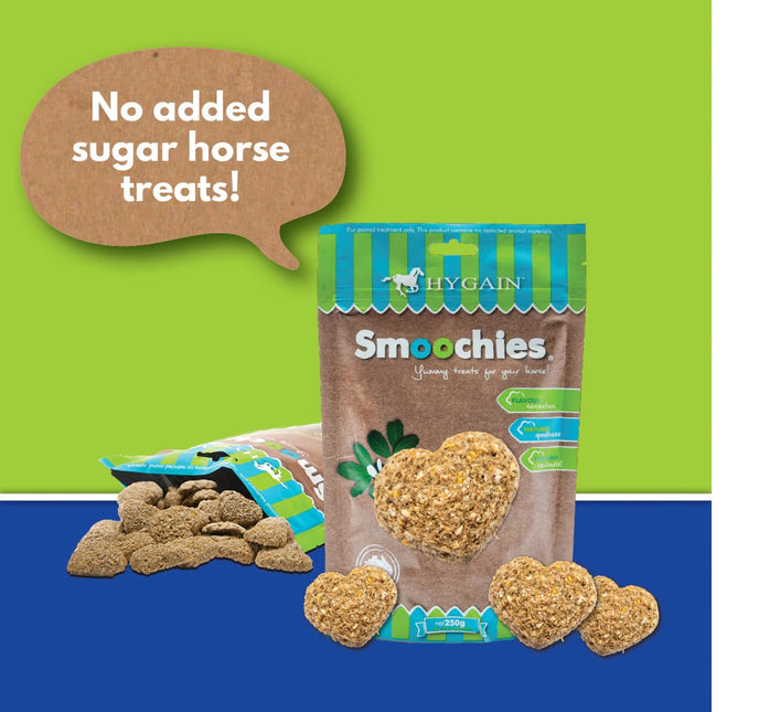 HYGAIN SMOOCHIES 250G