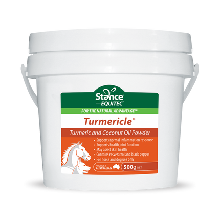 EQUITEC TURMERICLE POWDER 500GM