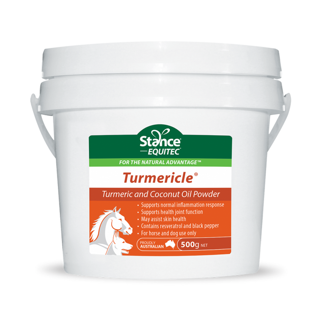 EQUITEC TURMERICLE POWDER 500GM