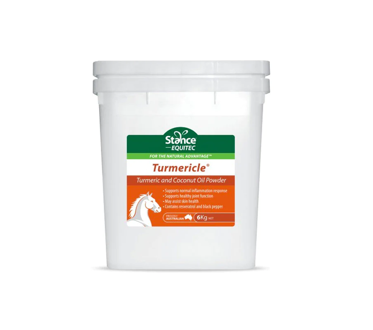 EQUITEC TURMERICLE 6KG