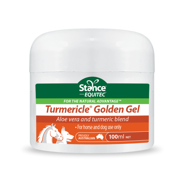 EQUITEC TURMERICLE GOLDEN GEL 200ML