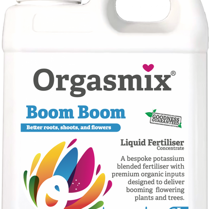 ORGASMIX BOOM BOOM 1L