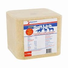 RANVET SALT LICKS (IODISED) 10KG