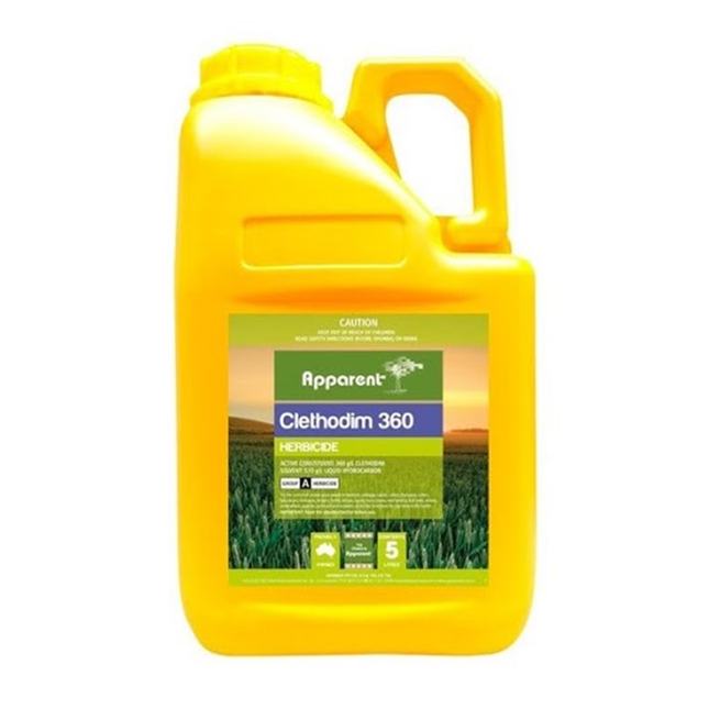 APPARENT CLETHODIM 360 5LTRS