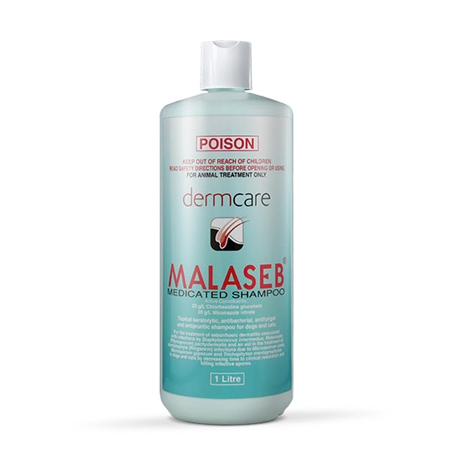 DERMCARE MALASEB MEDICATED SHAMPOO 1 LITRE