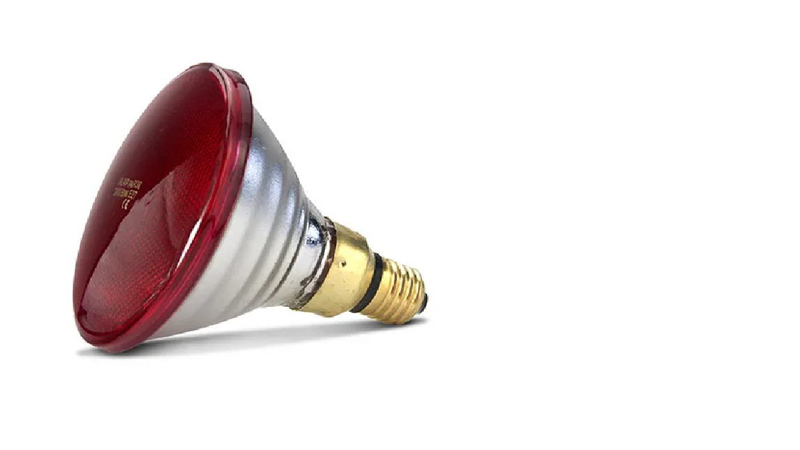 INFRARED HEAT LAMP RED - 50W