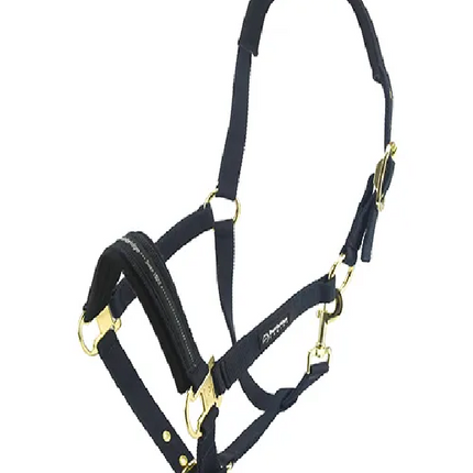 BAINBRIDGE HORSE HALTER - COB - BLUE