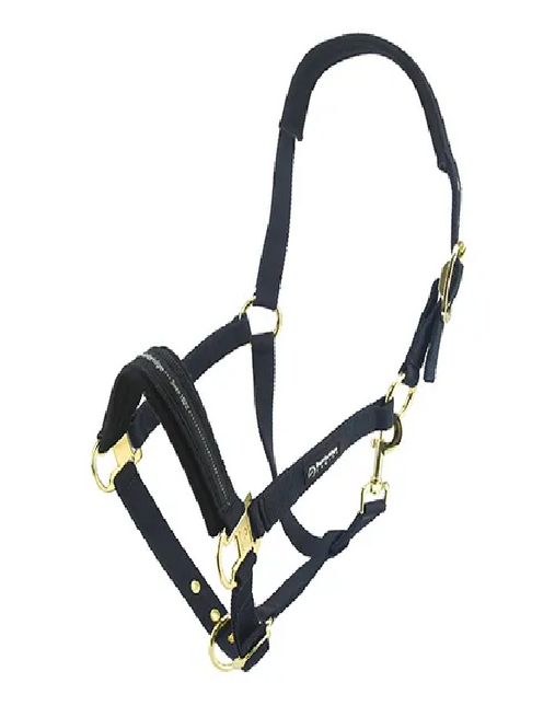 BAINBRIDGE HORSE HALTER - COB - BLUE