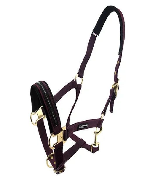 BAINBRIDGE HORSE HALTER - PONY - PURPLE