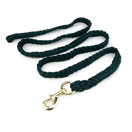 LEAD ROPE WITH BRASS SNAP 2M - GREEN
