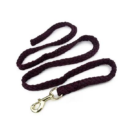 LEAD ROPE WITH BRASS SNAP 2M - PURPLE
