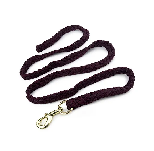 LEAD ROPE WITH BRASS SNAP 2M - PURPLE