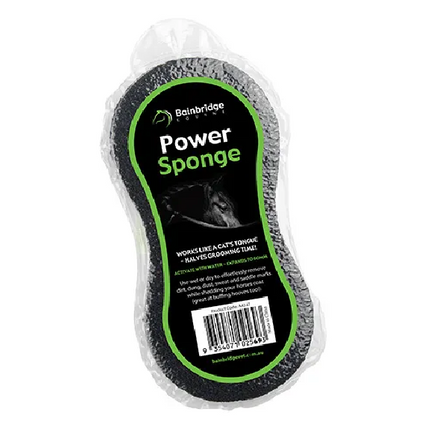 BAINBRIDGE POWER SPONGE