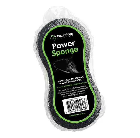 BAINBRIDGE POWER SPONGE