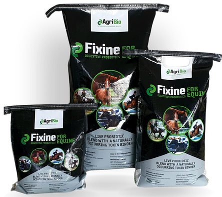 FIXINE FOR EQUINE 5KG