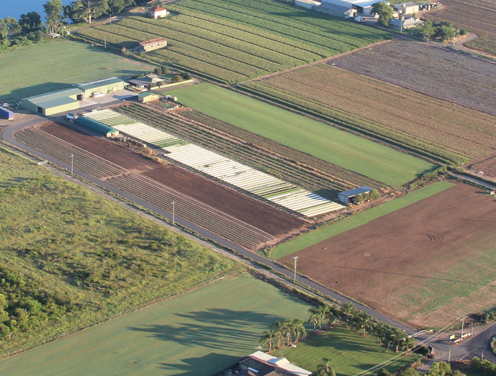 <h2>PROUDLY SERVING</h2>