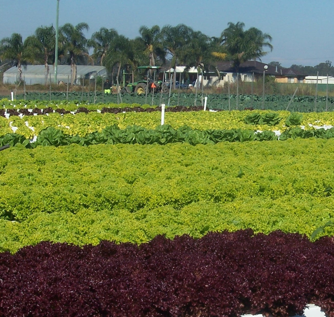 Riverview Produce