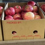 Apples Red 1KG