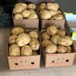 Washed Potatoes 5KG