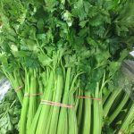Celery Bunch