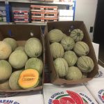 Rockmelon each