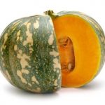 Kent pumpkin 1KG
