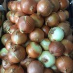 White onions 1KG