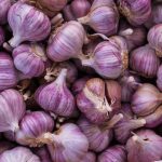Purple Garlic Each