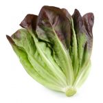 Green & Red Oak Leaf Lettuce each