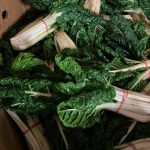 Silverbeet each