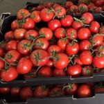 Truss Tomatoes 1KG