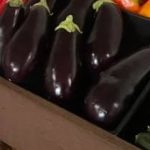 Eggplant 1KG